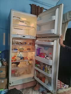 Fridge LG Korea