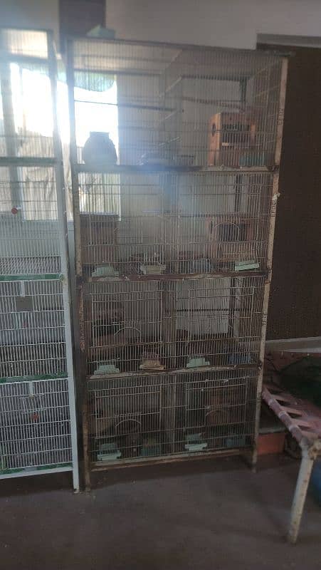 Cages Available 4