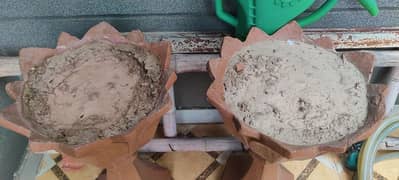 Cement plants pots for sale