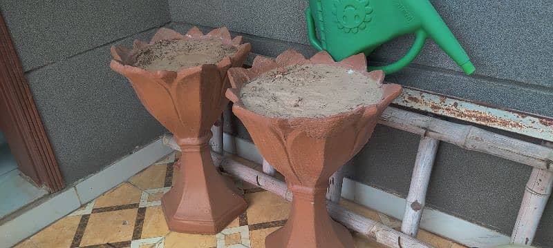 Cement plants pots for sale 2