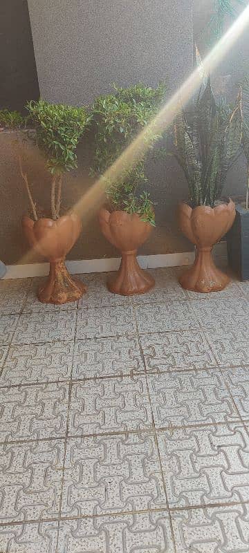 Cement plants pots for sale 6