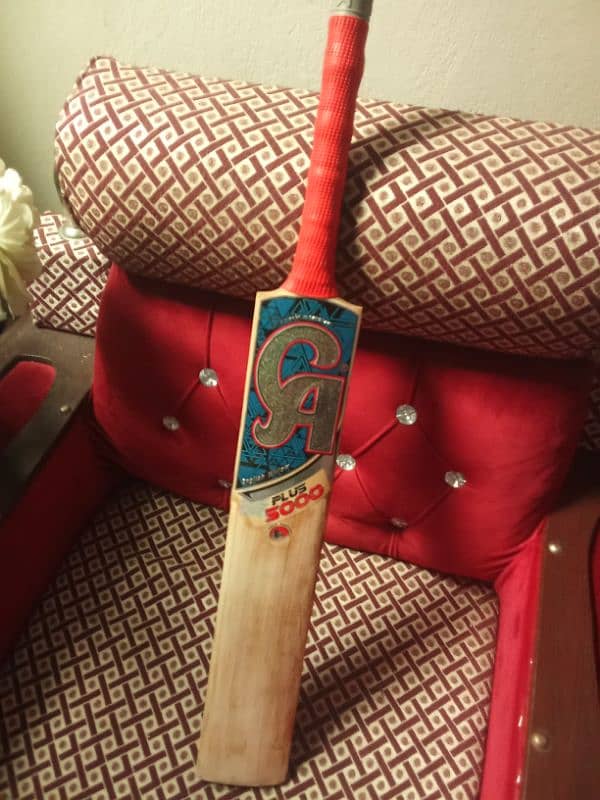 Hard ball bat original English willow 1