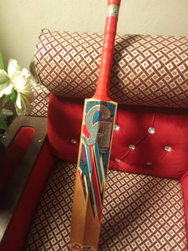 Hard ball bat original English willow 2