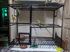 cage for birds