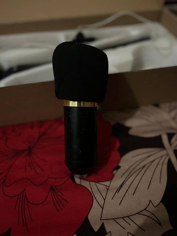 BM800 Condenser Mic for Sale - With Stand, Audio Interface & Free Lens 6