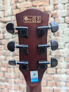 Swift Horse Acoustic Guitar with tuner