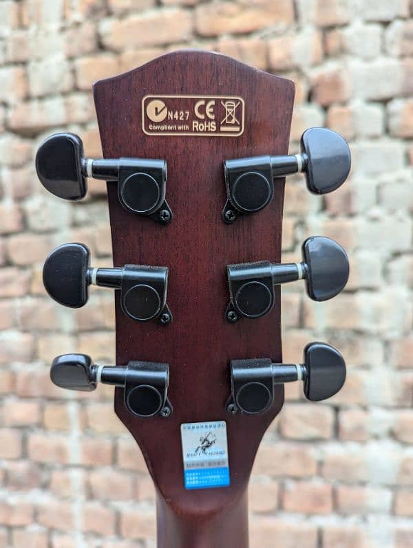 Swift Horse Acoustic Guitar with tuner 0