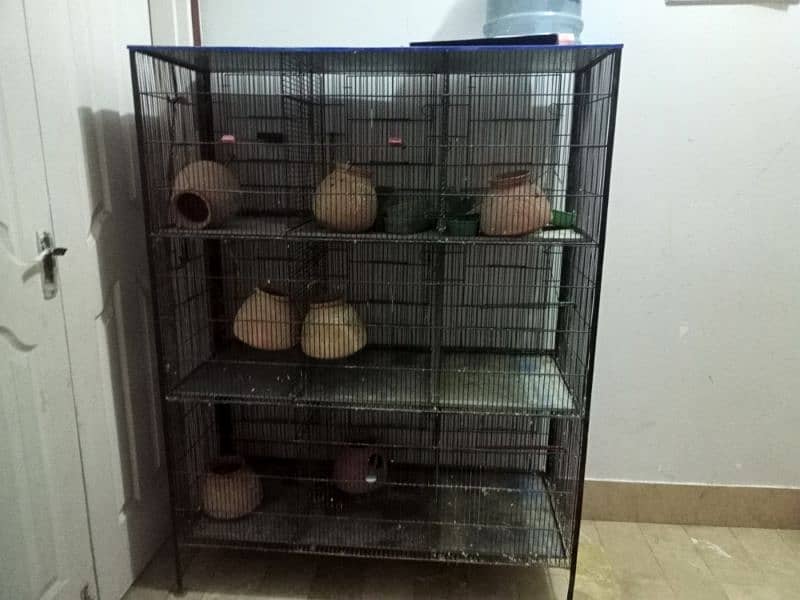 PINJRA 9 CAGE 3