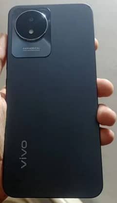 VIVO