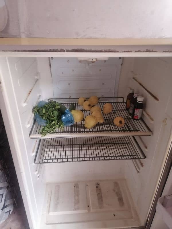 dowlance refrigerater fridge mdium 5