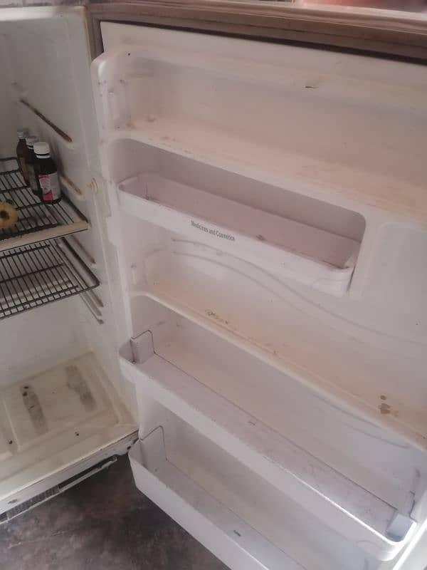 dowlance refrigerater fridge mdium 6