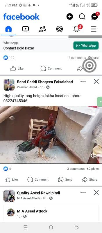 high quality long height lakha location Lahore cargo all Pakistan 0