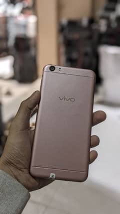 vivo