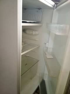 Apex room fridge