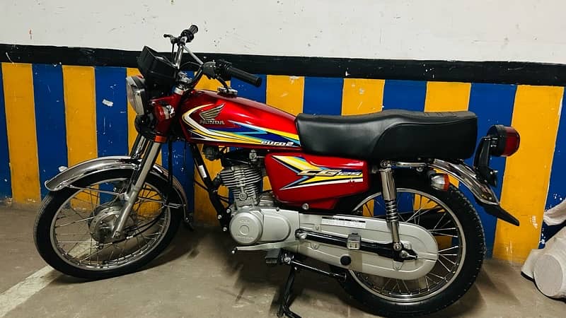 2019 Well Maintained clean Bike 12