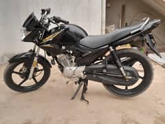 Yamaha YBR 125 2021 Like Brand New