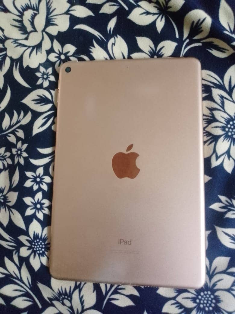 Ipad Mini 5th gen 64gb wifi 8