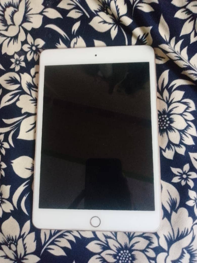 Ipad Mini 5th gen 64gb wifi 11