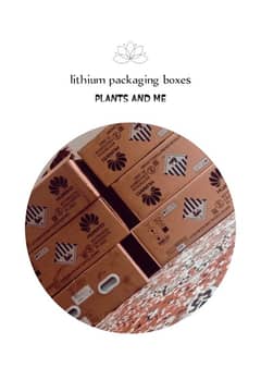 lithium packaging box