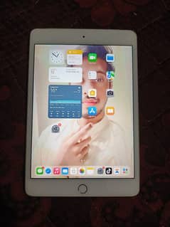 I pad Mini 4,  space 64 gb