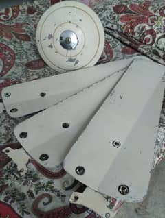 Celling Fan (National Brand)