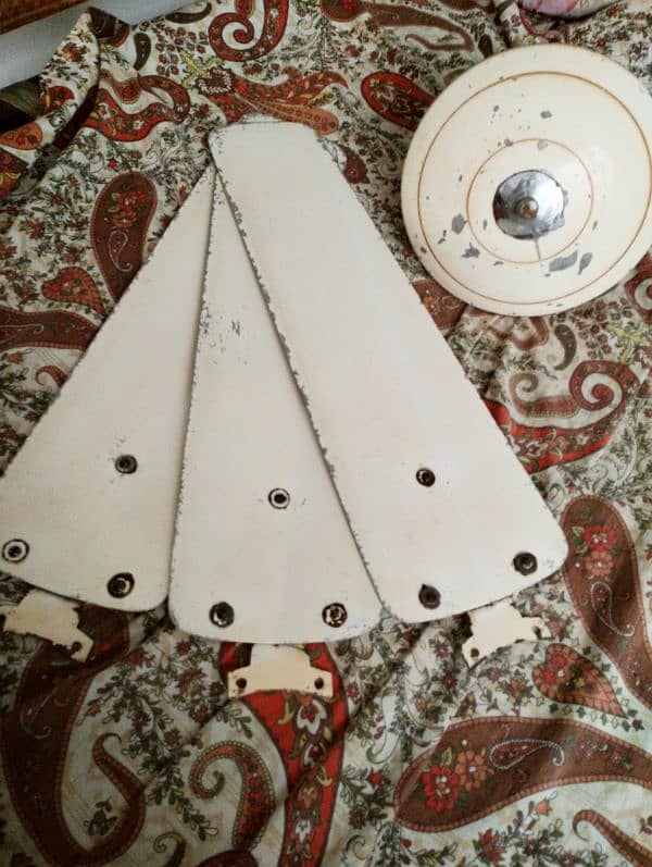 Celling Fan (National Brand) 3