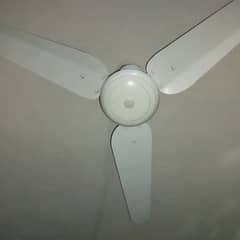 Celling Fan SK Brand RICO