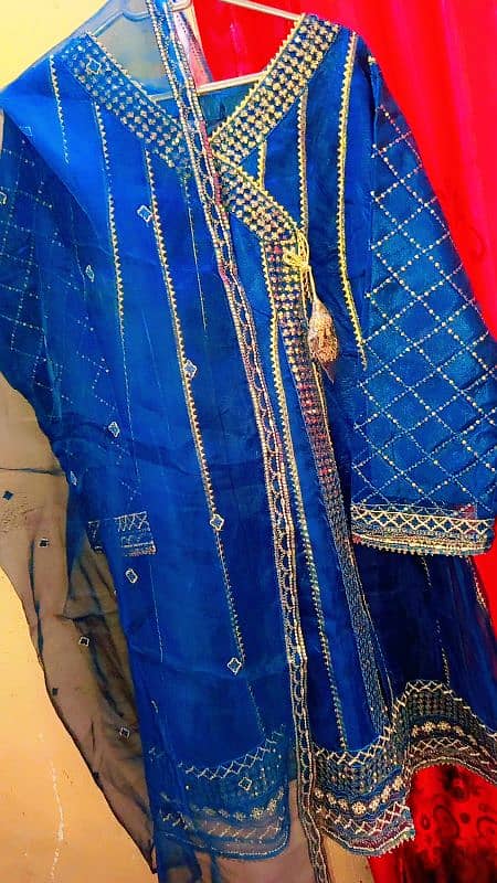 Blue Embroidered Gharara Suit in Zakhmi Fabric by Mona - Small/Medium" 0