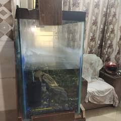 fish Aquarium full setup fo sell