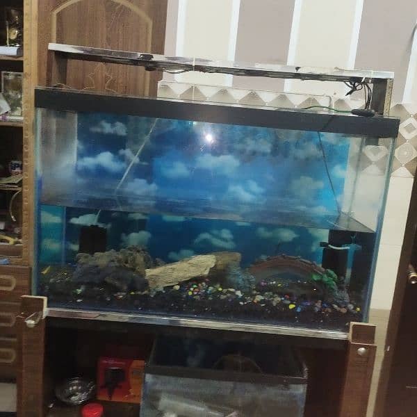 fish Aquarium full setup fo sell 1