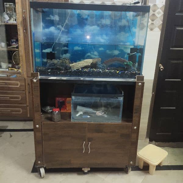 fish Aquarium full setup fo sell 4