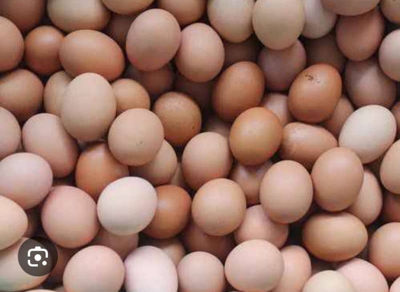 Ghar ki Pali murghion k pure desi eggs 0