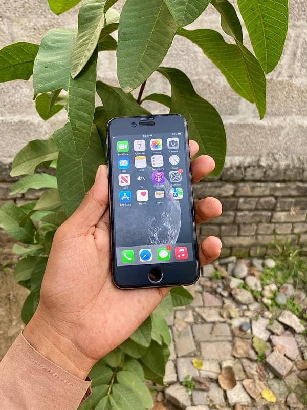 iPhone 8 Non Pta 64 Gb 0