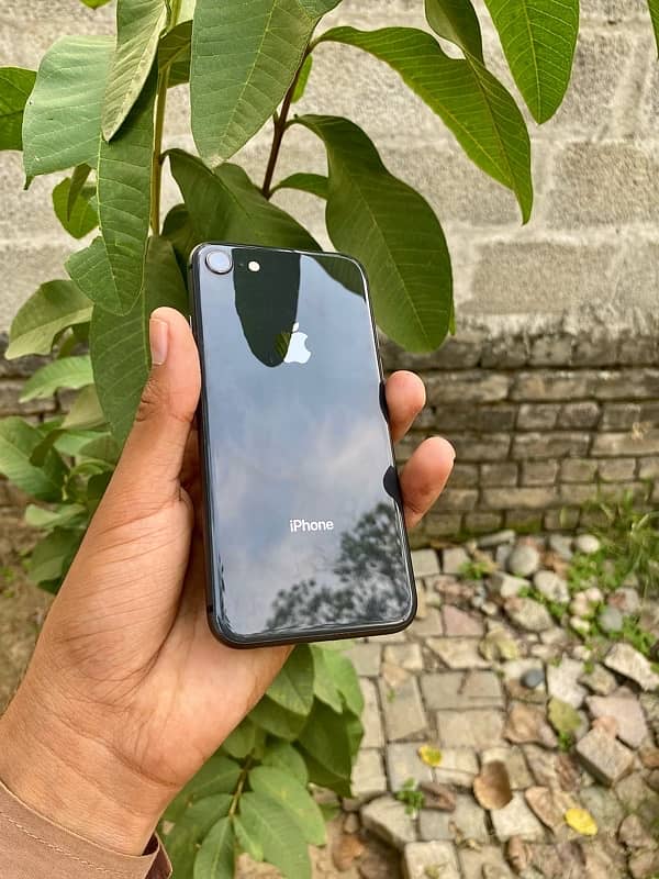 iPhone 8 Non Pta 64 Gb 3