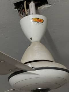 Super Aesia Celling Fan