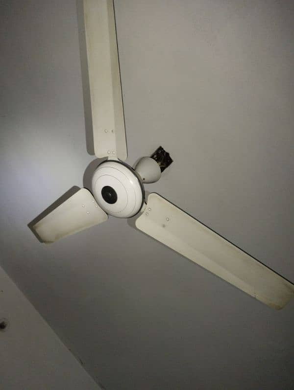 Super Aesia Celling Fan 2