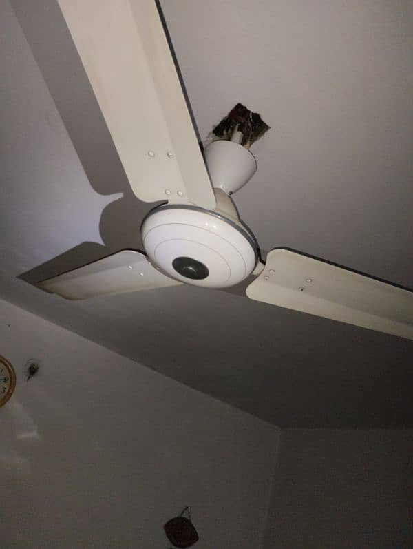 Super Aesia Celling Fan 3