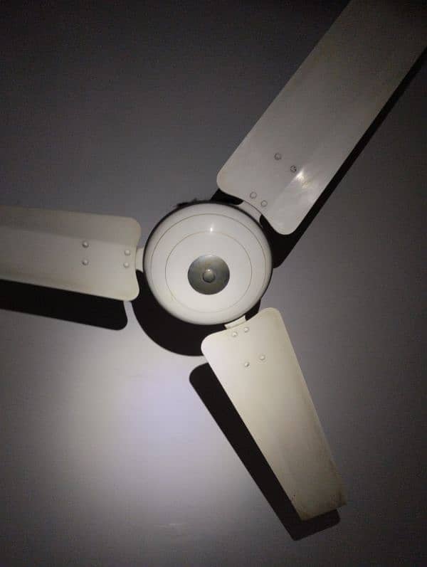 Super Aesia Celling Fan 4