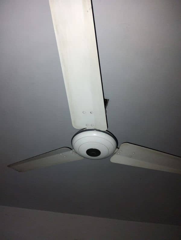 Super Aesia Celling Fan 5