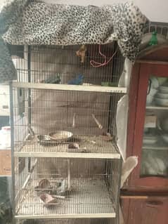 4 portion birds cage