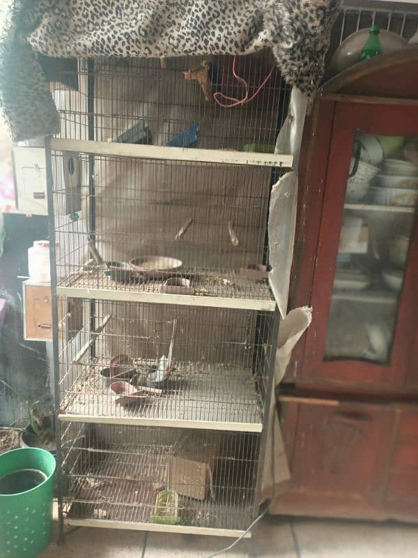 4 portion birds cage 1