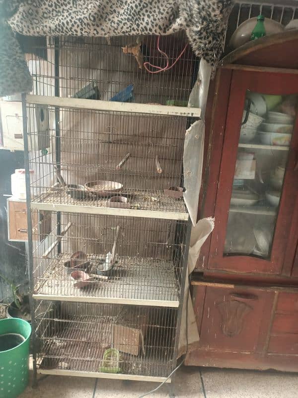 4 portion birds cage 2