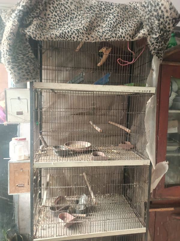 4 portion birds cage 3