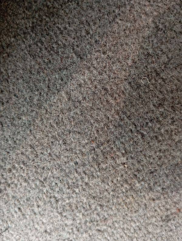 Carpets 4