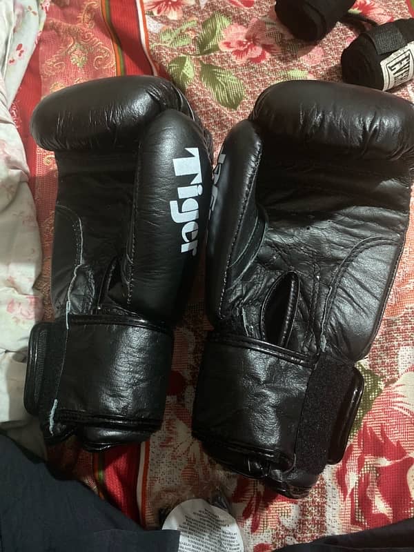 Boxing Gloves 1