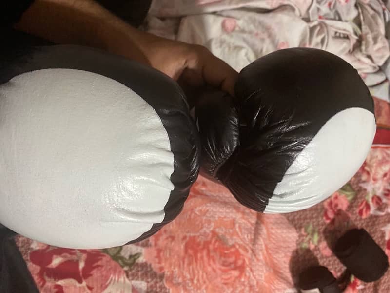 Boxing Gloves 2