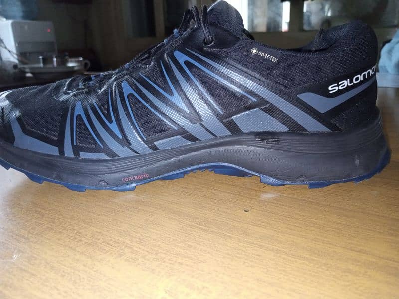 salomon shoes for hiking 1