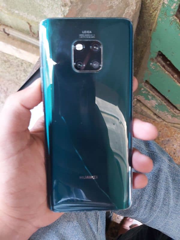 Huawei Mate 20pro Panel dead 1