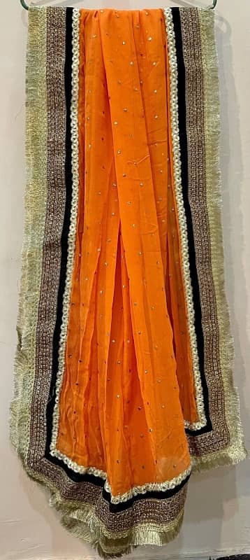 Ali Xeeshan Lehenga choli 5