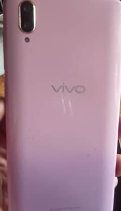 vivo